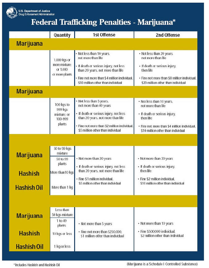 Federal Sentencing Chart Drugs